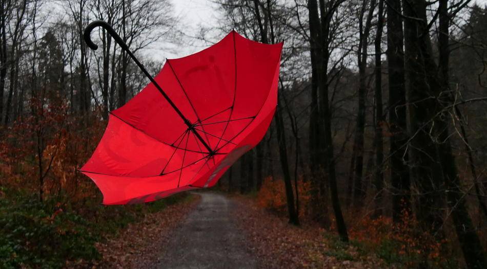Sturm Sabine: Neuigkeiten zur Unwetterlage in Mettmann