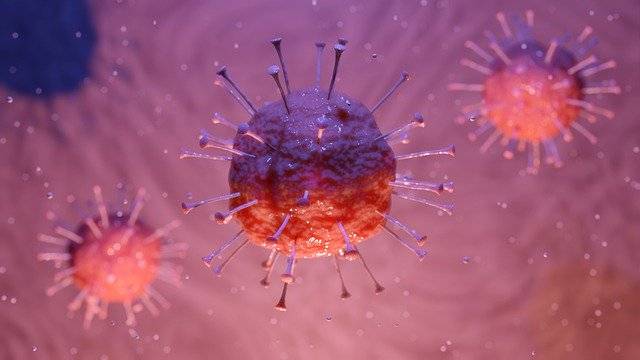 Corona-Virus: Sachstand Mittwochmittag: Vier neue Erkrankungen, 11 Verdachtsfälle