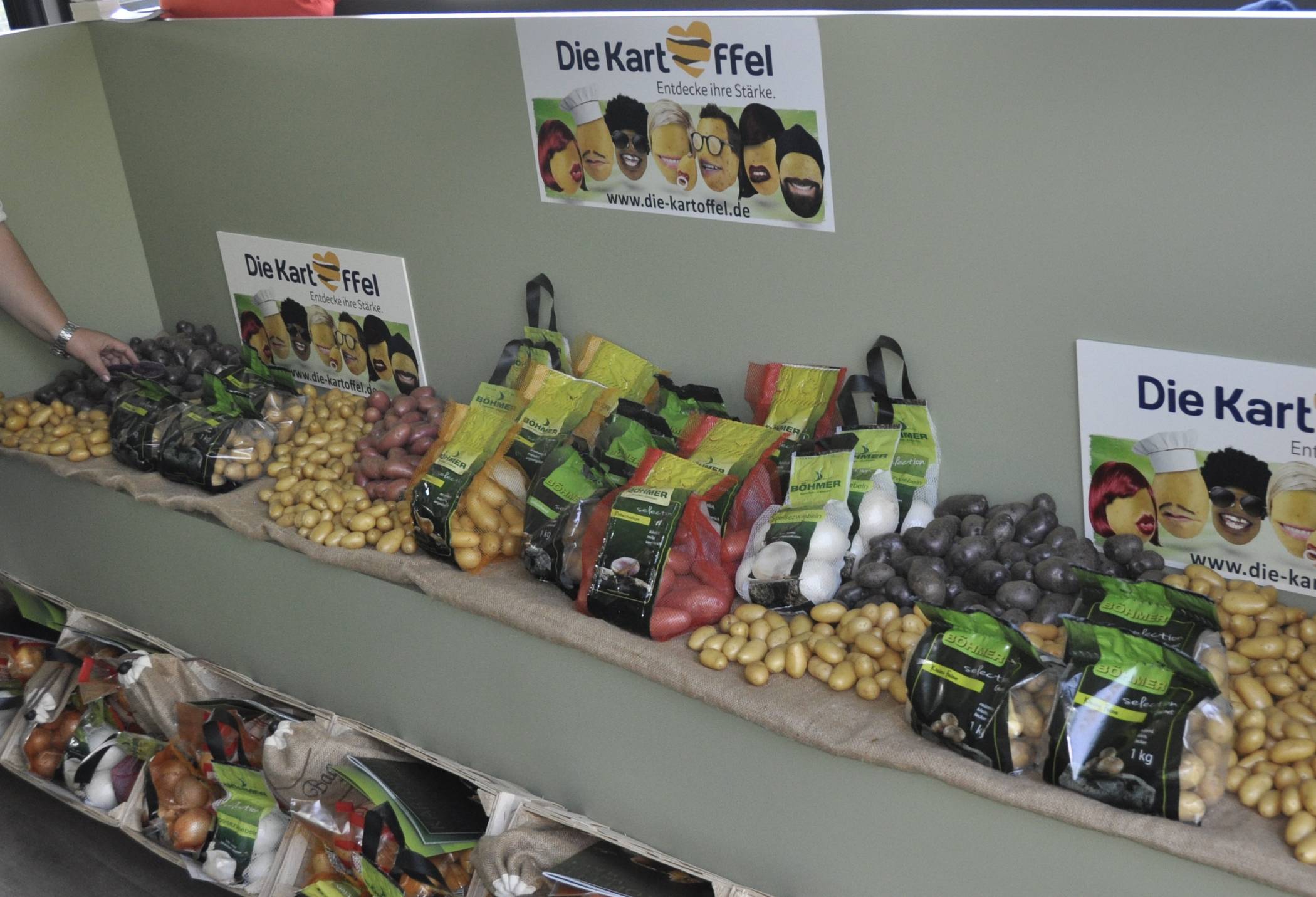 Deutscher Kartoffelhandelsverband richtet sich an die Verbraucher: „Kartoffeln zu hamstern, ist nicht nötig“
