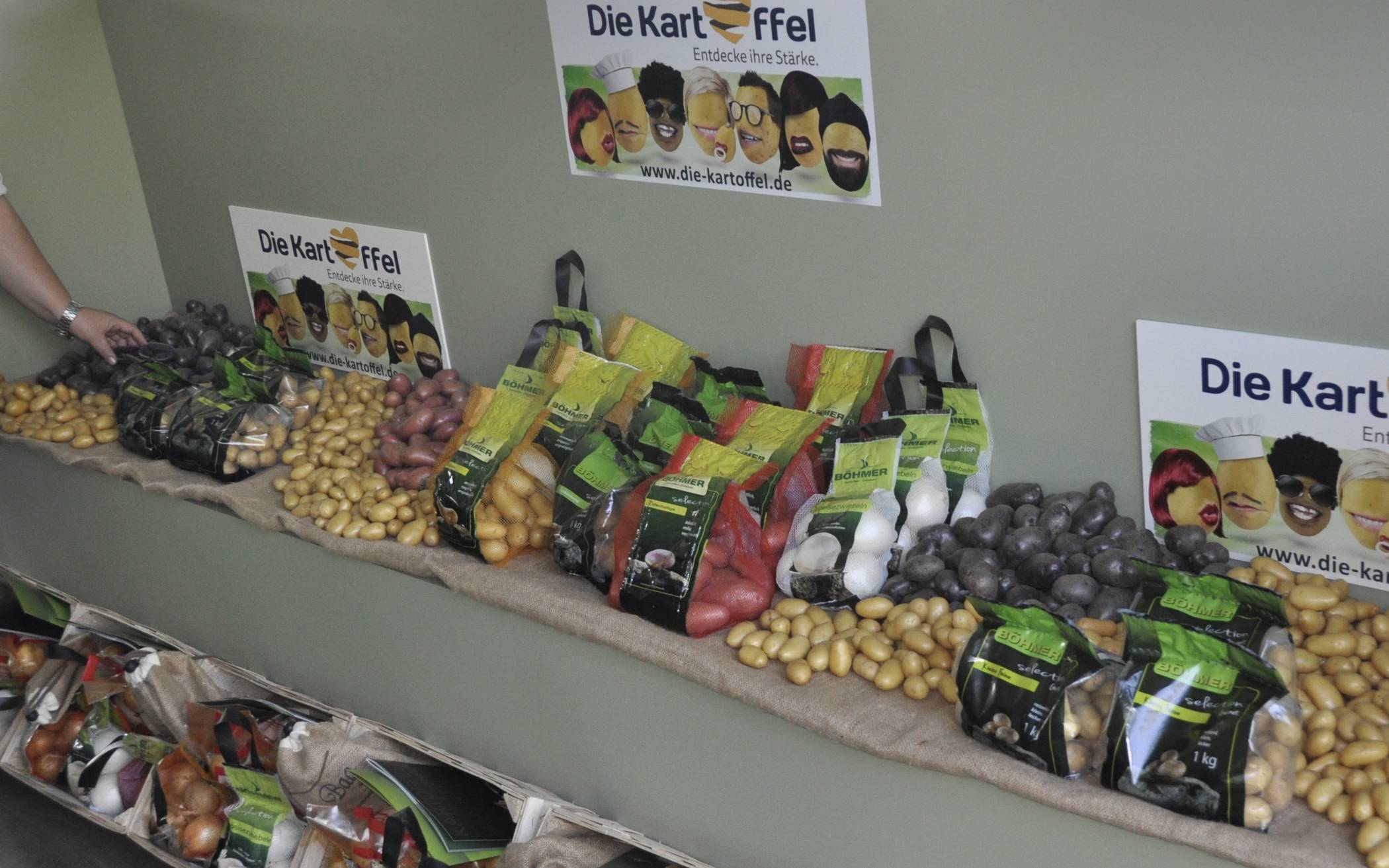 Deutscher Kartoffelhandelsverband richtet sich an die Verbraucher: „Kartoffeln zu hamstern, ist nicht nötig“