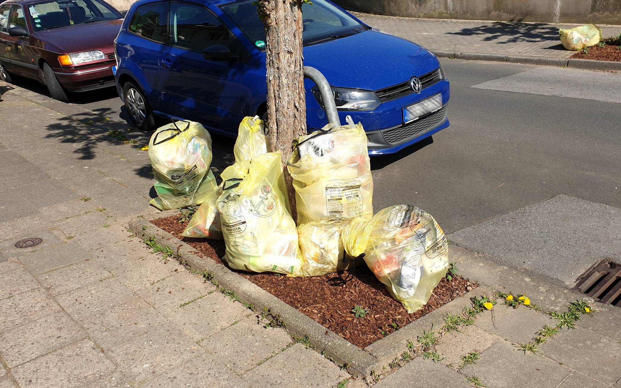  Auf der Weststraße wurden Gelbe Säcke auf den frisch bepflanzten Baumscheiben abgelegt. 
