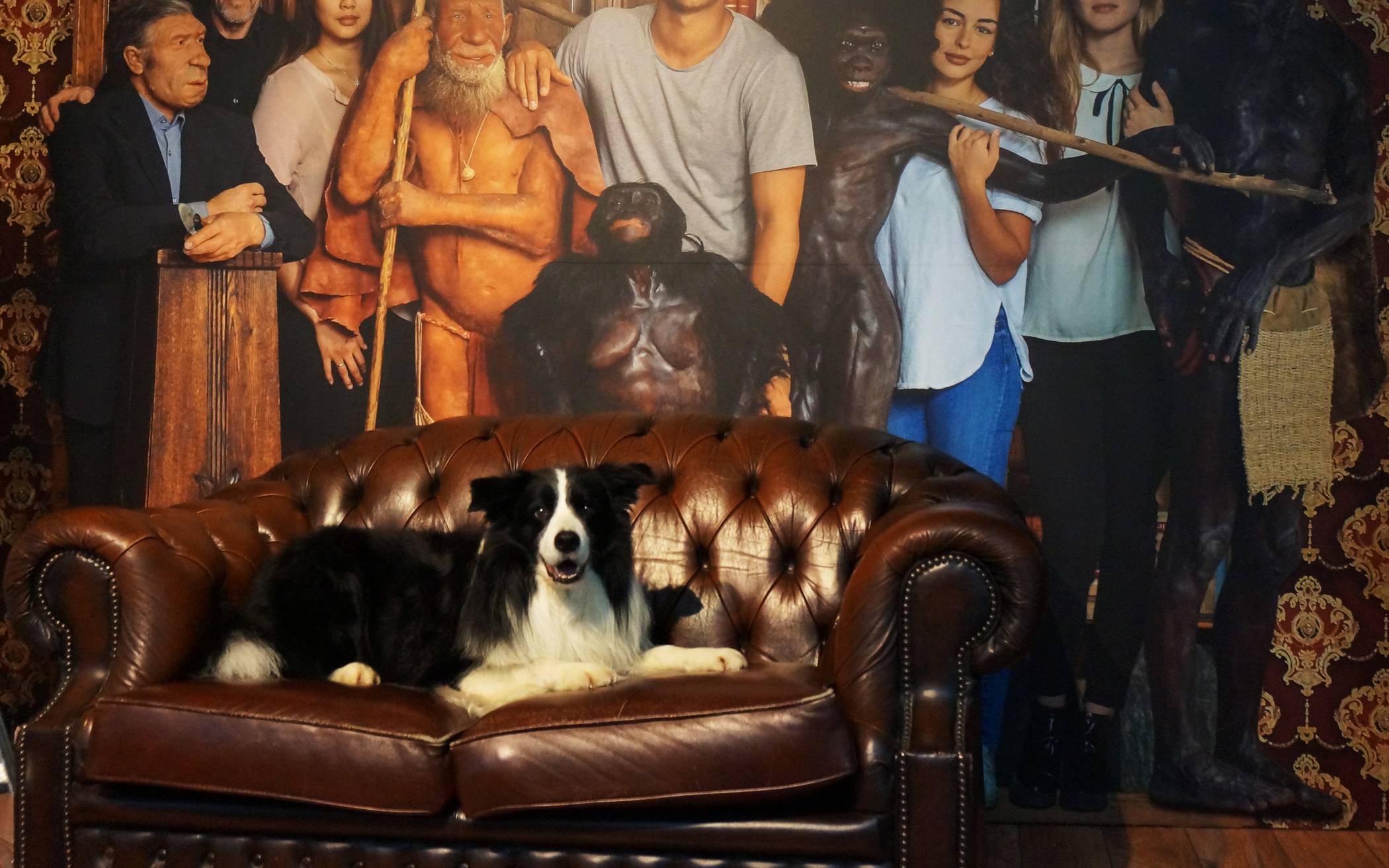 DoggyTour“  und Doggyday im Neanderthal Museum: Mit Hund durch die Dauerausstellung
