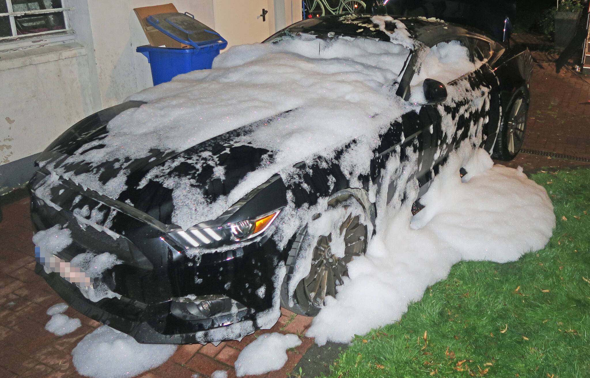  Der Mustang brannte im Innenraum nahezu vollständig aus. Die Feuerwehr setzte Löschschaum ein.    