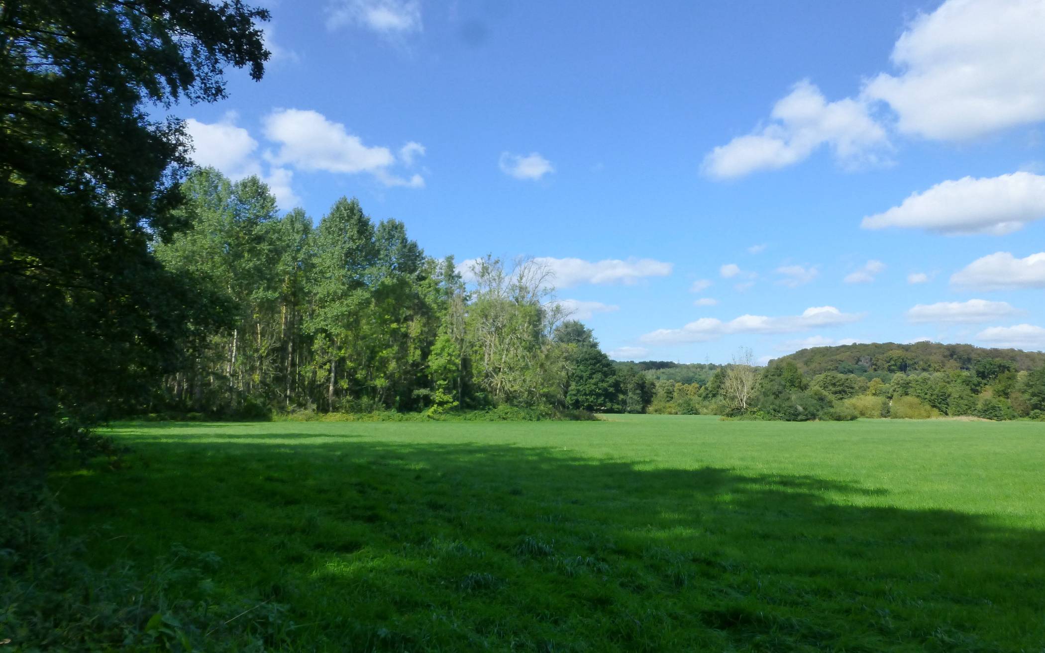 Exkursion durch das Naturschutzgebiet Düsselauen: Untere Naturschutzbehörde gibt Einblick in die Biotopvielfalt