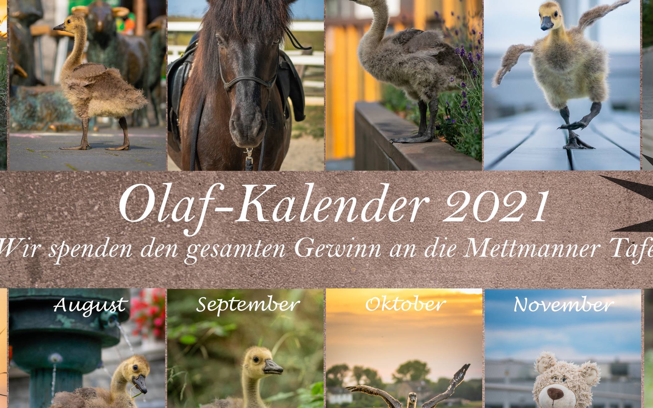  Ein possierlicher Begleiter durch das Jahr 2021: der Olaf-Kalender.   