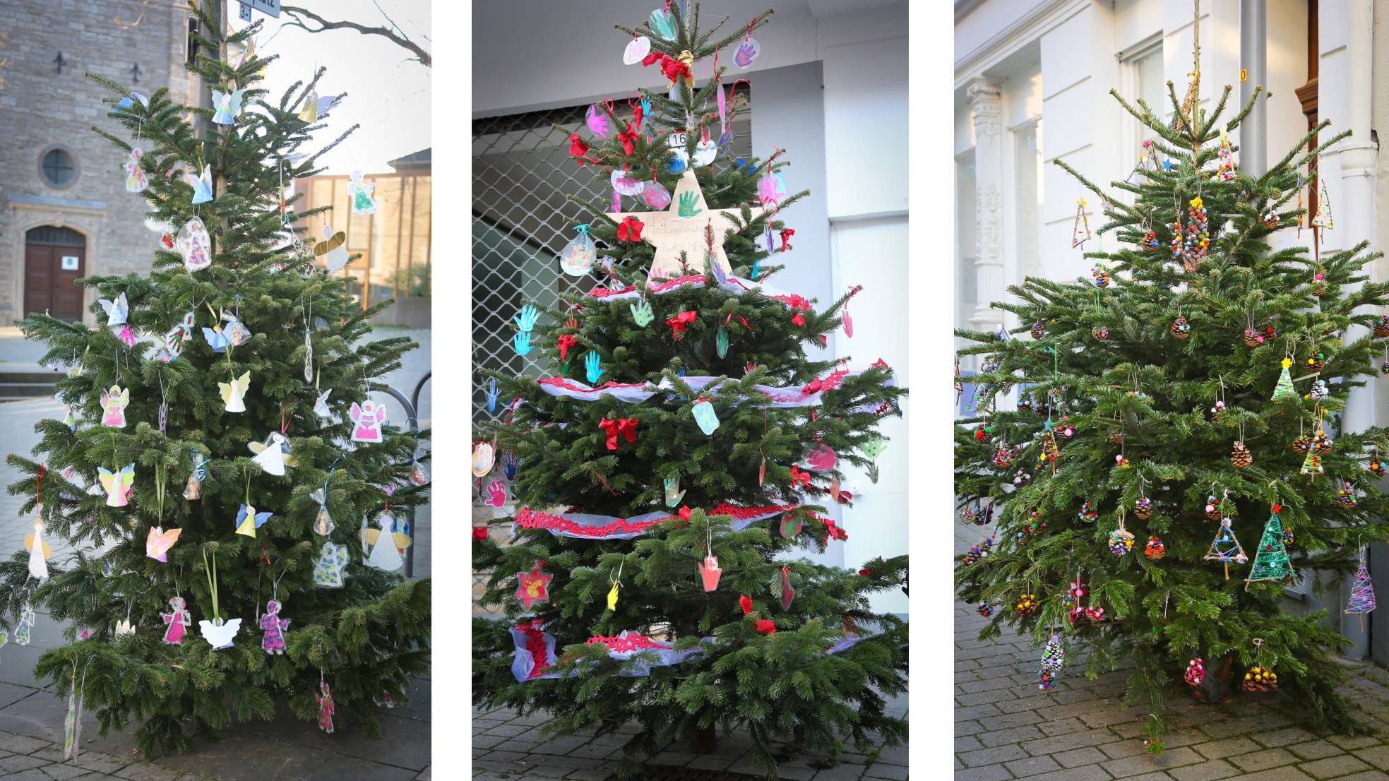  Die drei Siegerbäume (von links): Astrid-Lindgren-Schule, IG Kindertagespflege, Rote Gruppe Kita Laubacher Feld. 